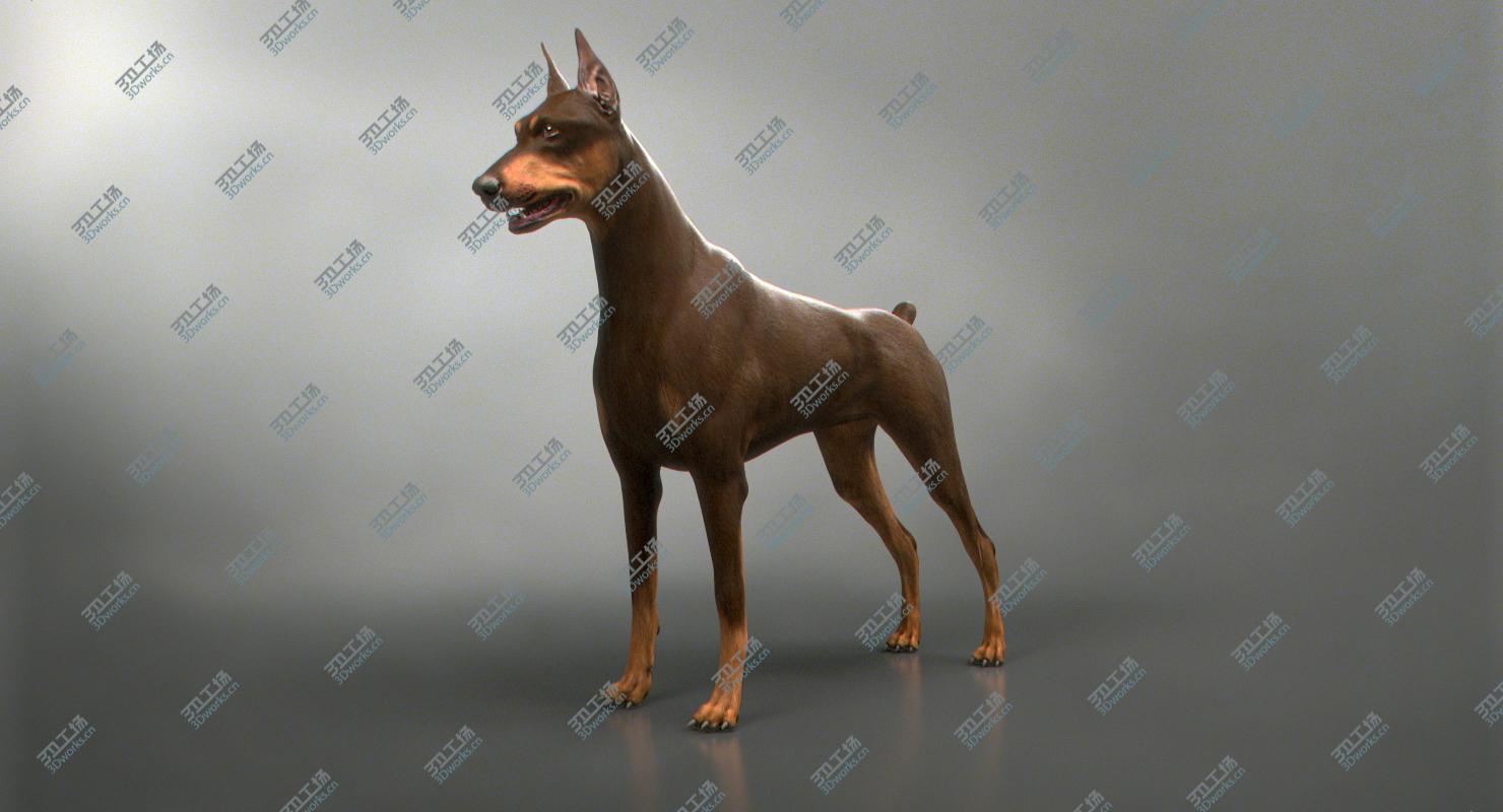 images/goods_img/202104092/3D Doberman (Fur)/5.jpg